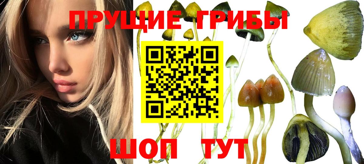 Галлюциногенные грибы прущие грибы Рославль