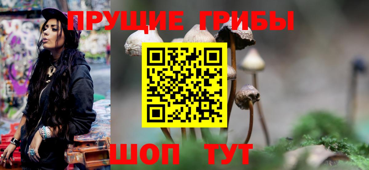 Рославль  Галлюциногенные грибы MAGIC MUSHROOMS  Вход с VPN  Галлюциногенные грибы GOLDEN TEACHER 